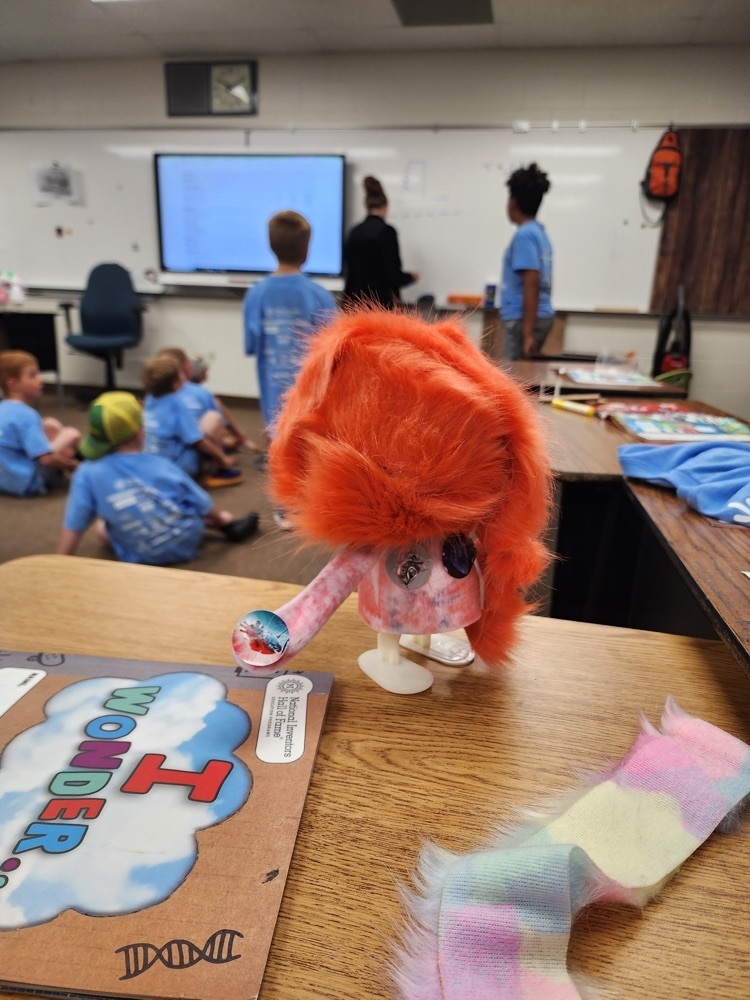 Live Feed Killdeer Public School